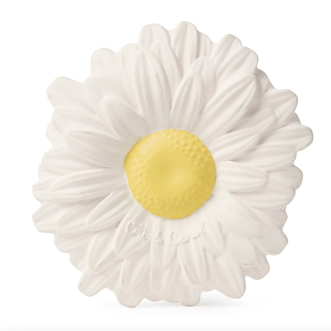 Margarita The Daisy