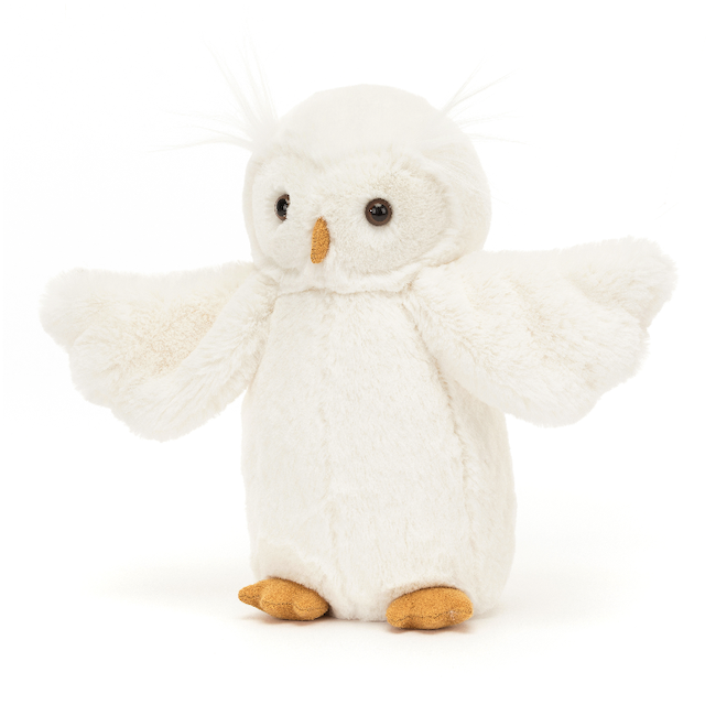 Bashful Owl