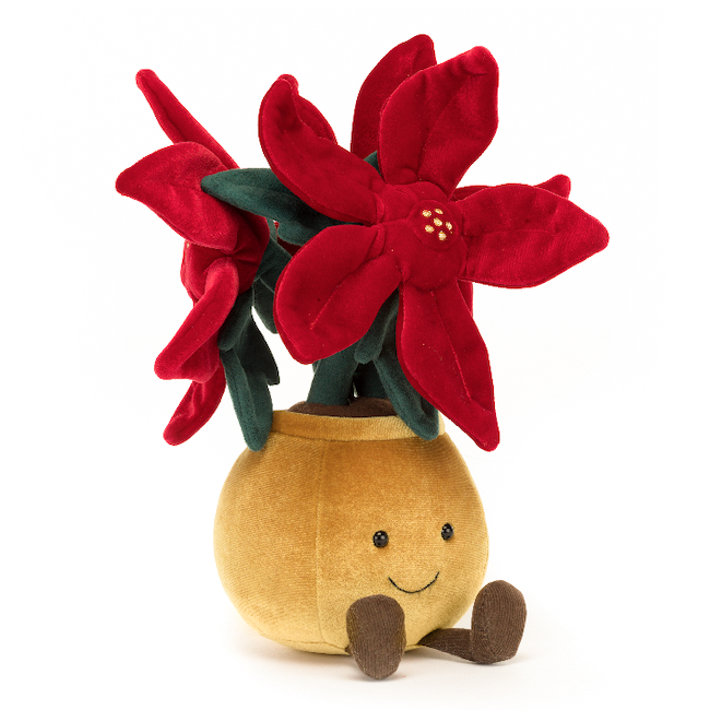 Amuseable Poinsettia