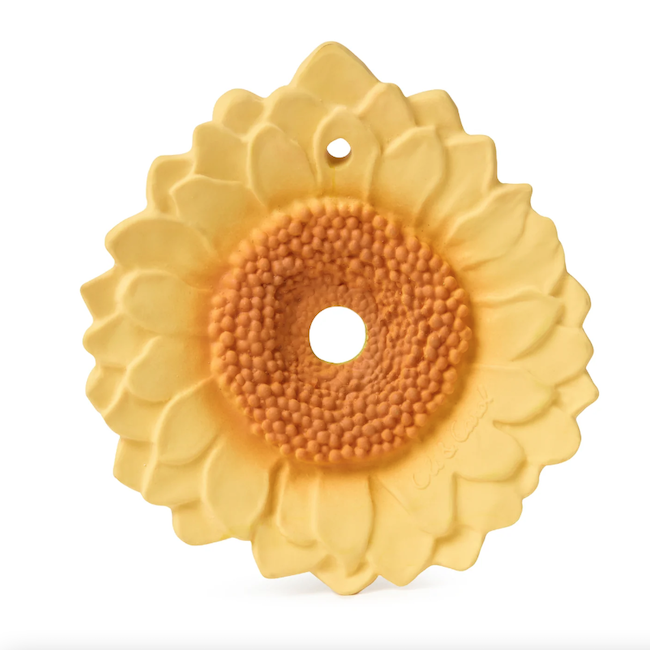 Sun The Sunflower