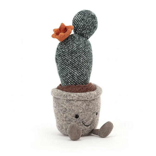 Silly Succulent Prickly Pear Cactus