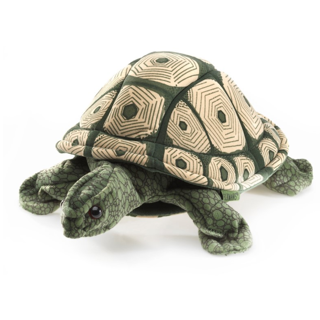 Tortoise