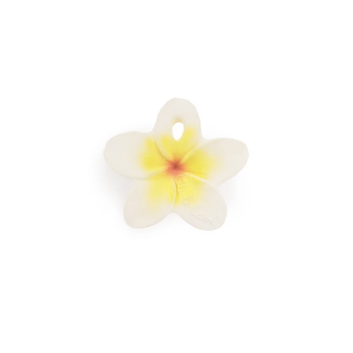 Hawaii The Flower