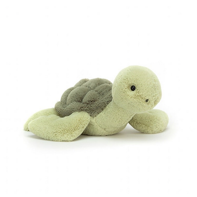 Tully Turtle
