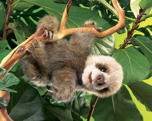 Baby Sloth Puppet