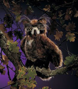 Great Horned Owl