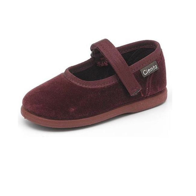 Velvet Ballet Shoe