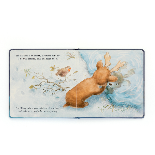 Mitzi Reindeer's Dream Book