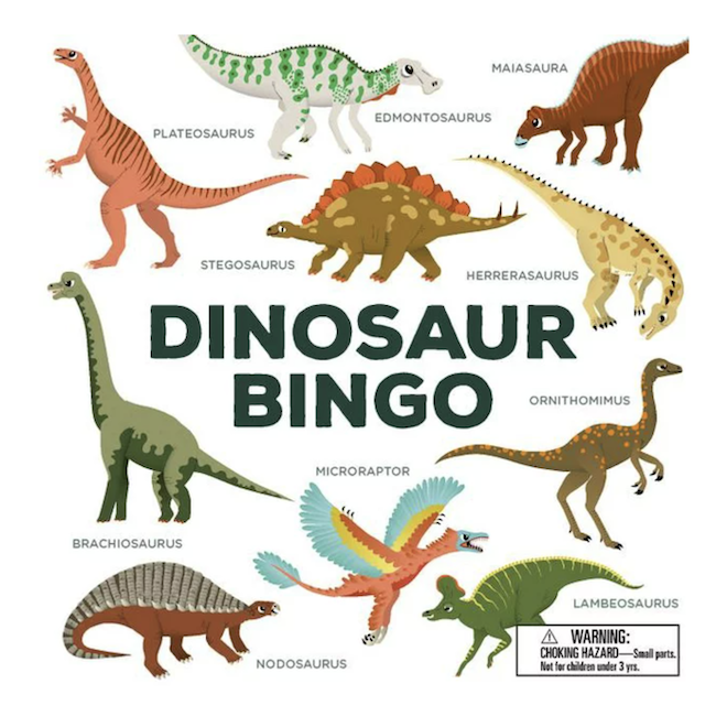 Dinosaur Bingo