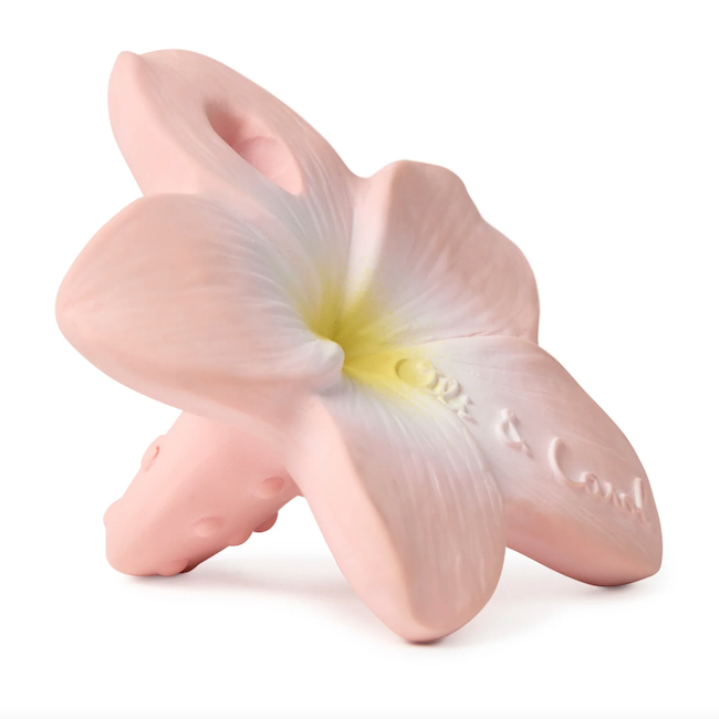 Bella The Flower