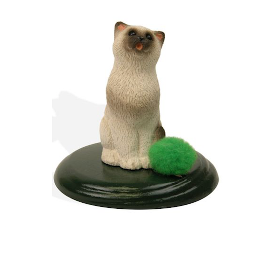 Sealpoint Cat