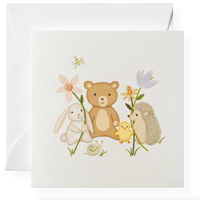 Animal Friends Gift Enclosures