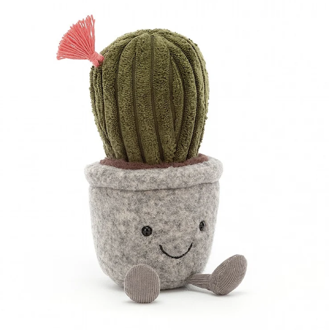 Silly Succulent Cactus