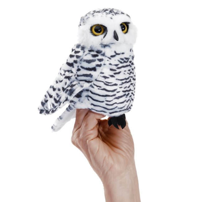 Snowy Small Owl