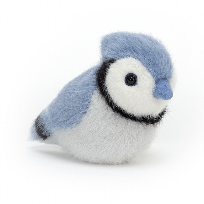 Birdling Blue Jay