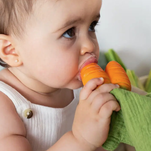 Cathy The Carrot Mini Doudou Teether