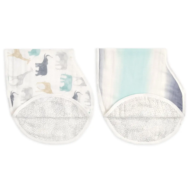 Silky Soft Burpy Bibs in Expedition 2-Pack
