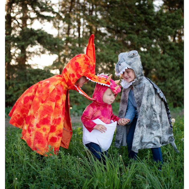 Baby Dino Triceratops Set