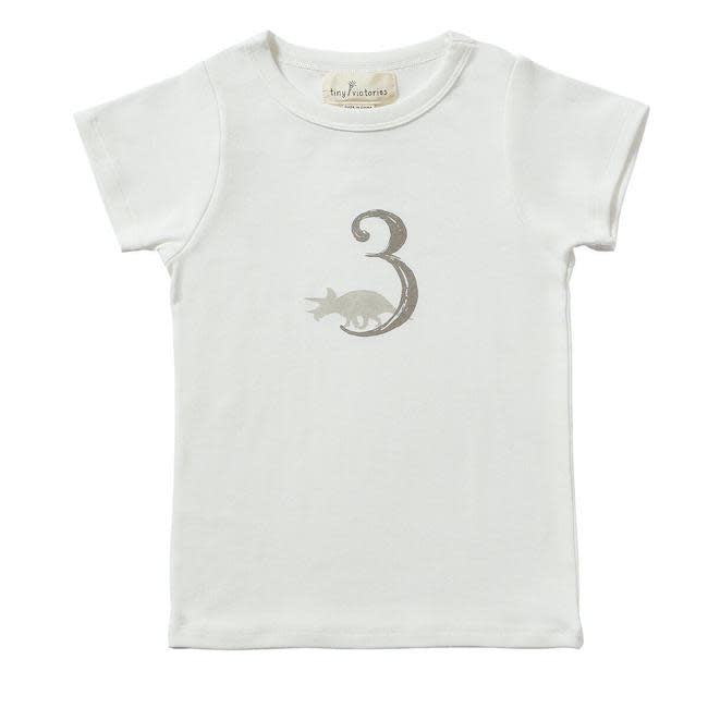 Dinosaur Birthday Short Sleeve T-Shirt