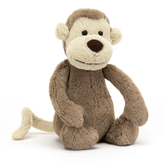Bashful Small Monkey