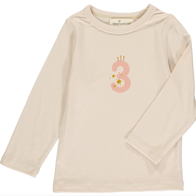 Birthday Party Numbers Tshirt