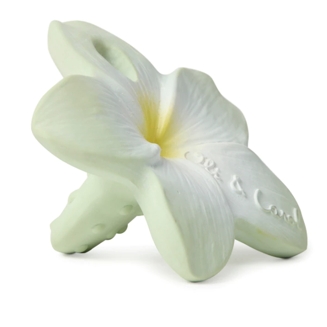Bali The Flower