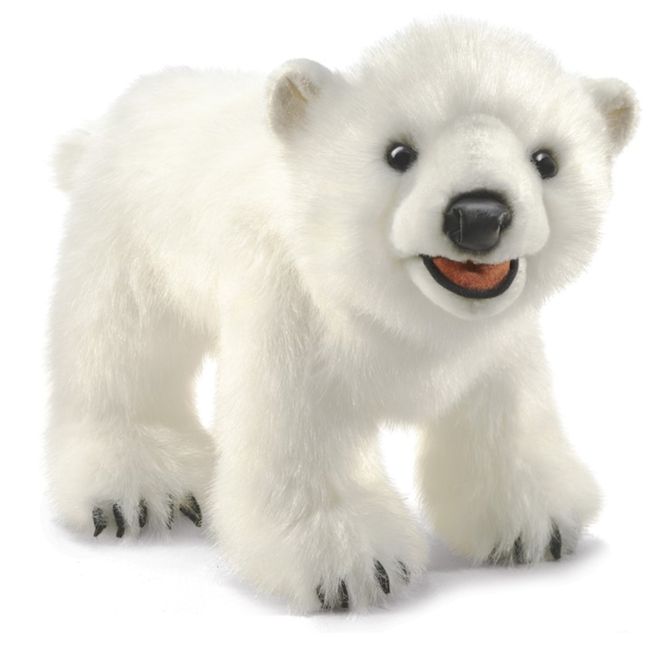 Polar Bear Cub