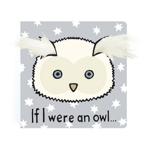 If I Were An Owl Board Book