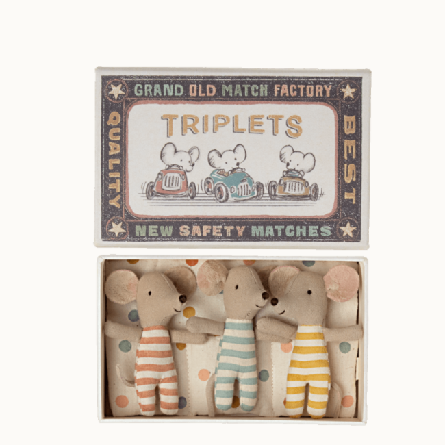 Triplets, Baby Mice In Matchbox