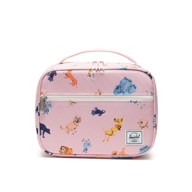 Pop Quiz Lunch Box Little Herschel