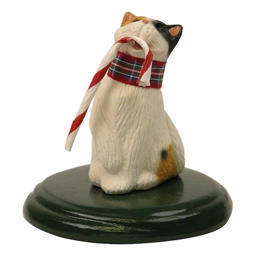 Calico Cat