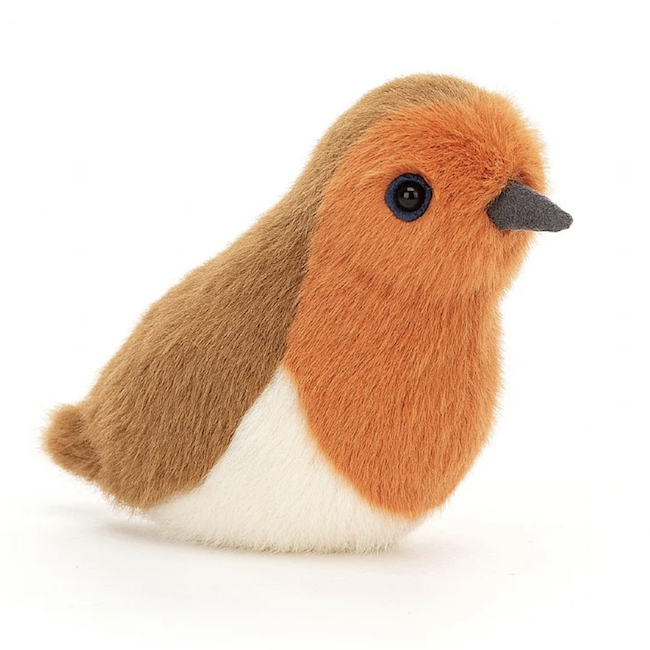 Birdling Robin