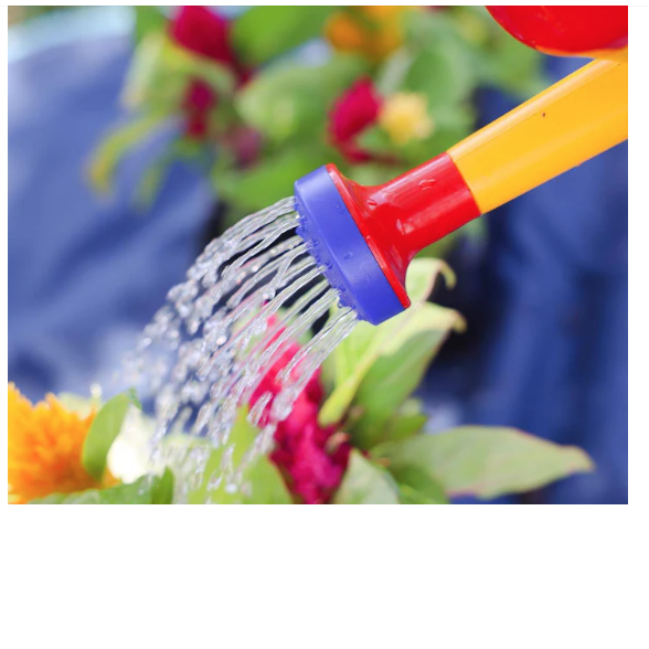 Watering Can (1 Liter)