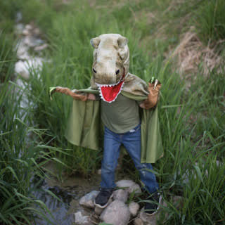Grandasaurus T-Rex Cape