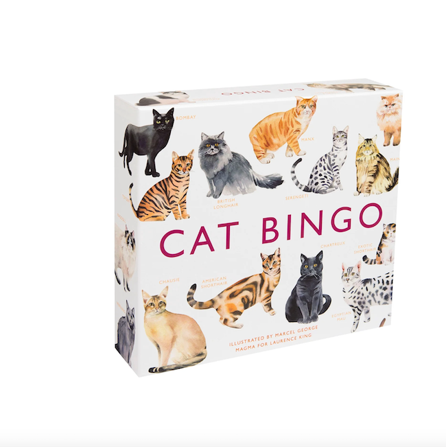 Cat Bingo