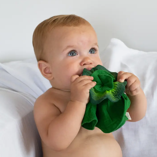 Kendall The Kale Mini Doudou Teether