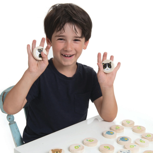 Clever Cat Memory Game