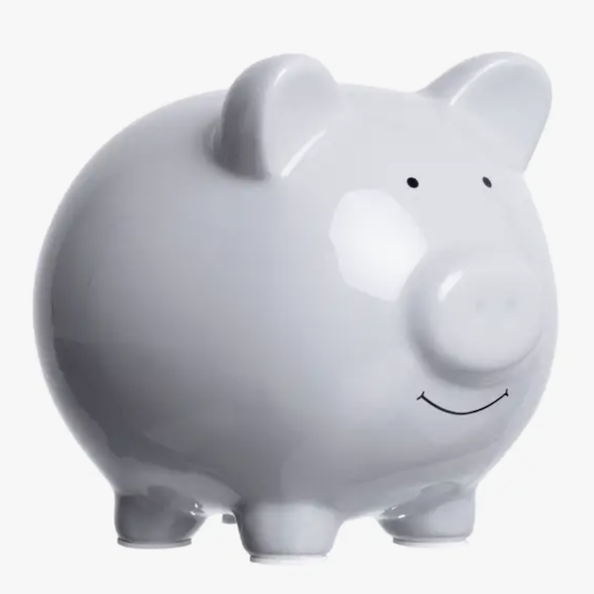 Ceramic Piggy Bank in  Grey