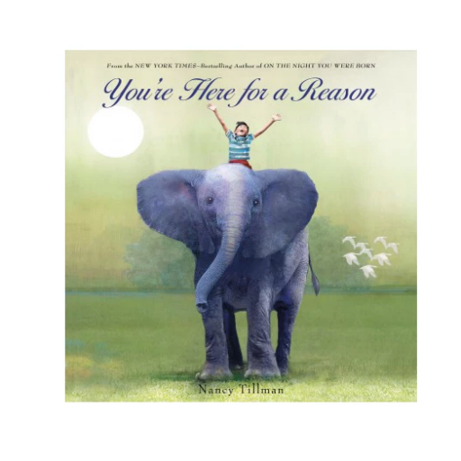 You’re Here For A Reason Board Book