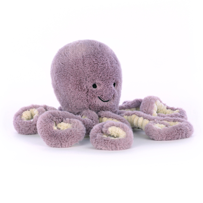 Maya Little Octopus