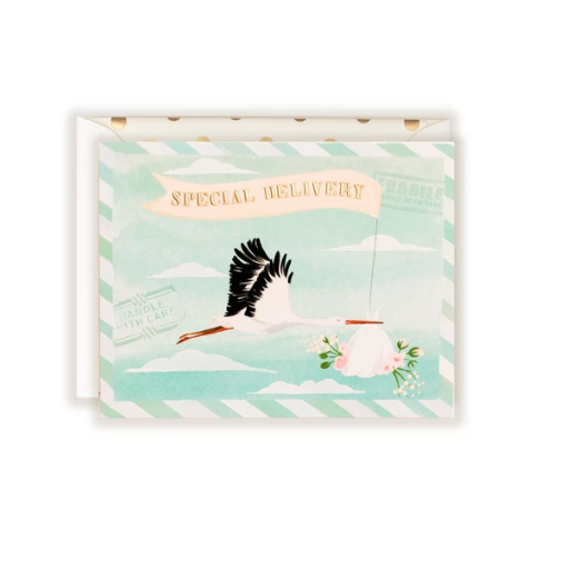 Special Delivery Baby Stork Greeting Card