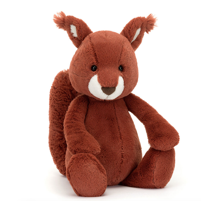 Bashful Medium Squirrel
