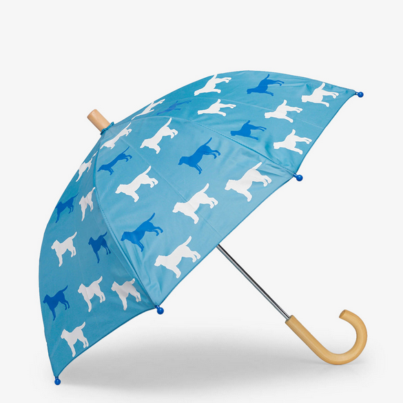 Friendly Labs Color Changing Umbrella