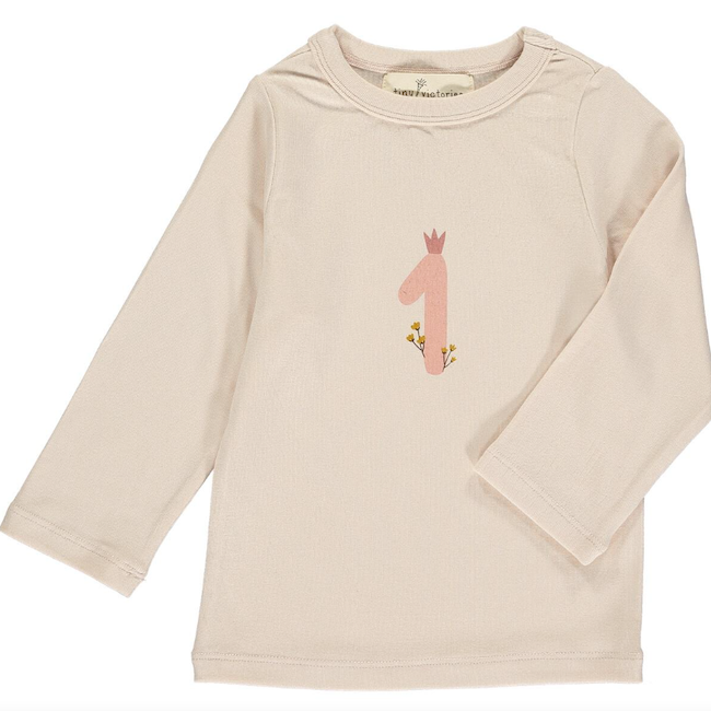 Birthday Party Numbers Tshirt