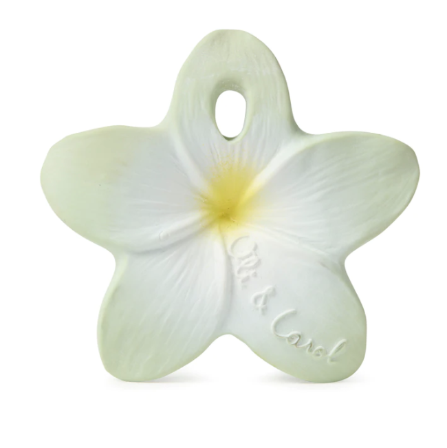 Bali The Flower