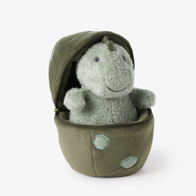 Plush Baby Dino + Egg Activity Toy