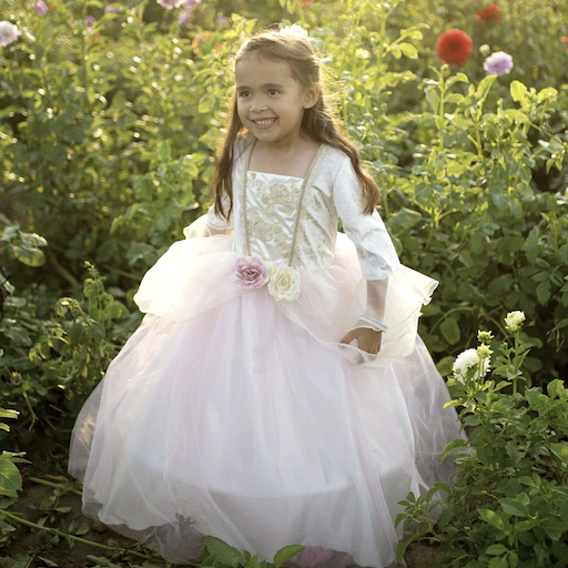 Golden Rose Princess Dress
