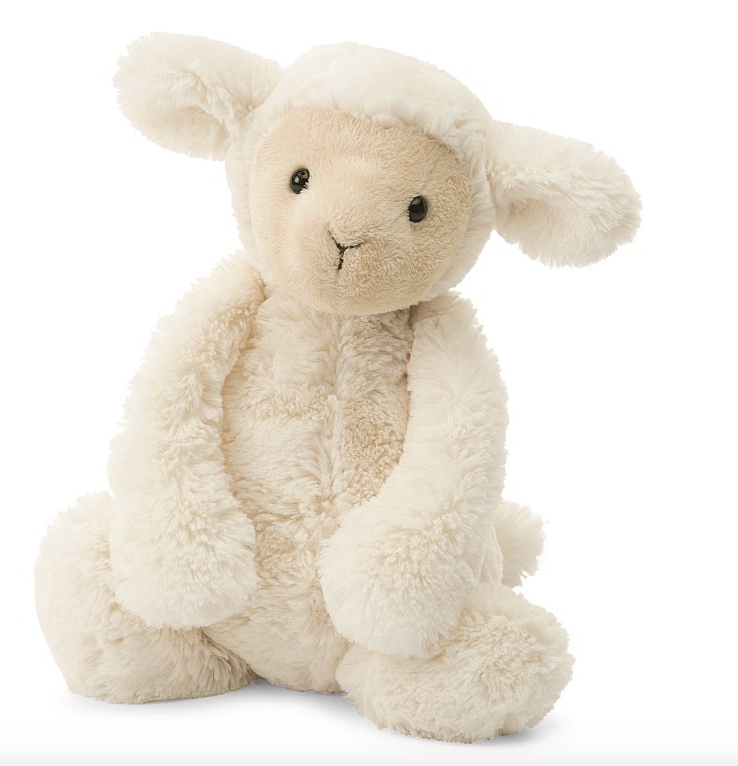 Bashful Small Lamb
