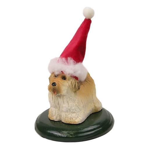 Pekingese