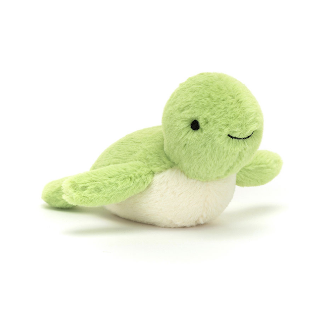 Fluffy Turtle